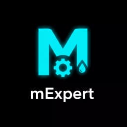 Logo mExpert